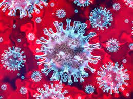 Pakistan’s Coronavirus Positivity Rate Increases to 11%