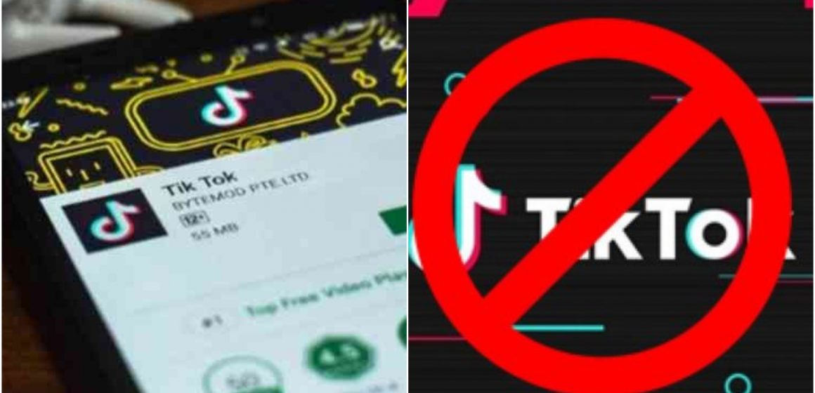 Punjab Police Bars Use of TikTok and Officially Requests a Ban on PUBG